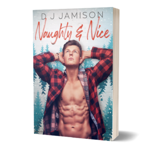 Naughty & Nice (3D cover) by DJ Jamison