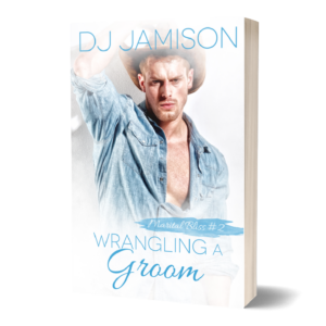 Wrangling a Groom (3D cover) by DJ Jamison